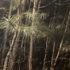 paint it all black (with reddhed)