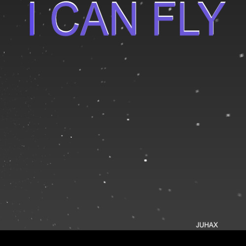 ICANFLY