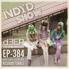 The NDYD Radio Show EP384