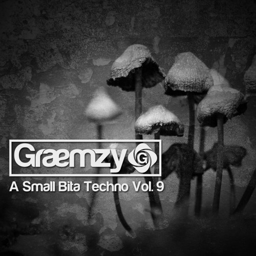 A Small Bita Techno Vol. 9