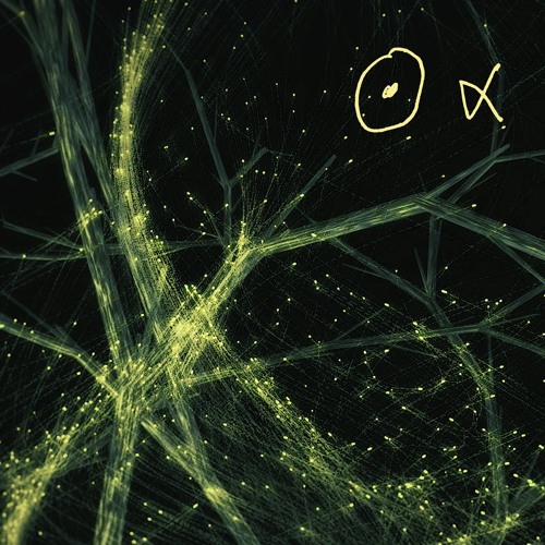 Nous Alpha - Golden Lemon