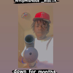 WhipHisNose_Blac1k -down for months