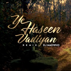 Yeh Haseen Wadiyan Remix - DJ MADWHO (DJMADWHO.COM for free mp3)