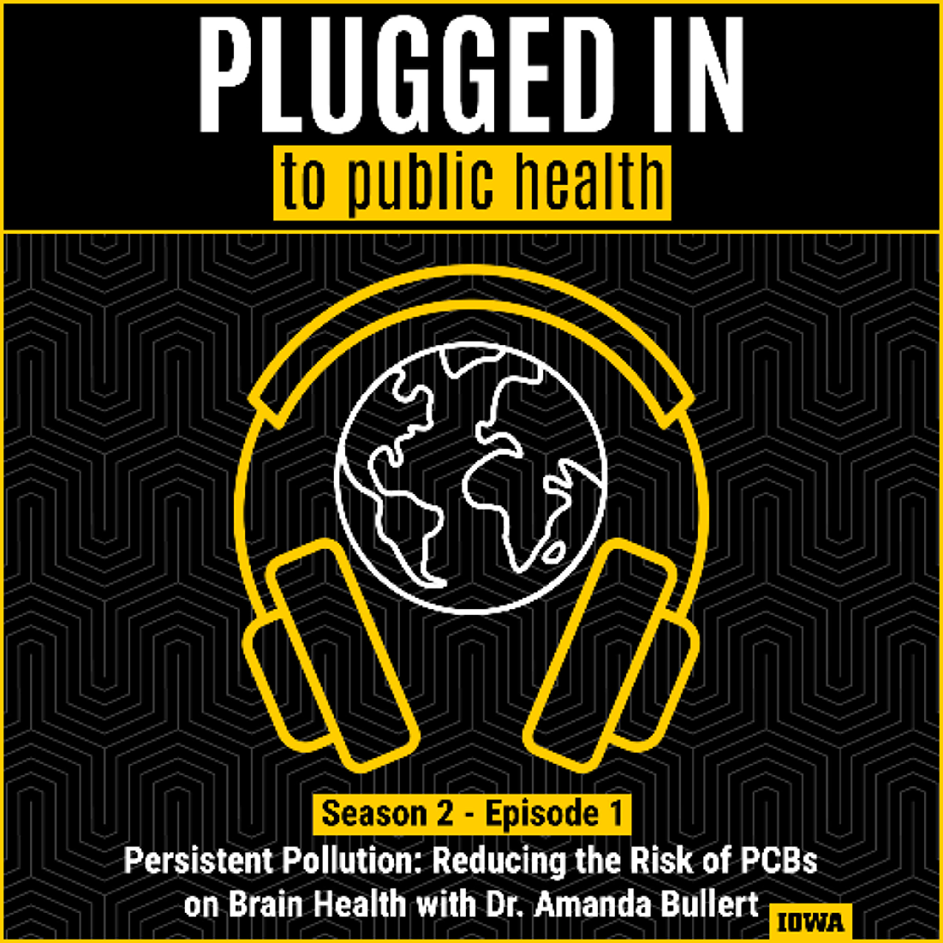 Persistent Pollution: Reducing the Risk of PCBs on Brain Health with Dr. Amanda Bullert episode artwork