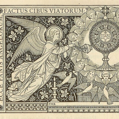 November 30 - First Sunday of Advent (2025)