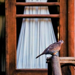 اسحاق انور | دفتر ماه | Eshag Anvar