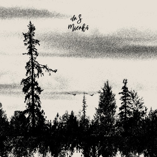 drS (FI) - Mierká [trndmsk]