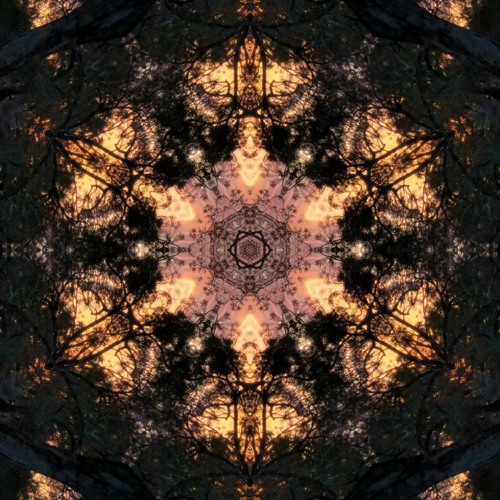 Voodoo Ventriloquist - Detrimental Sentimental -  Progressive / ProgPsy 142 - 148 BPM - DJ Mix