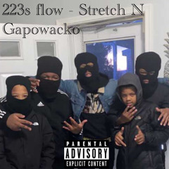 223s flow