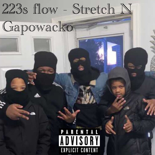 223s flow