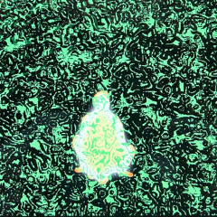 Goody Good (are you that somebody remix)