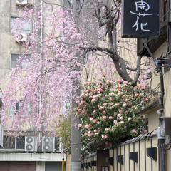 sword !!  リアル   #neverEndingStory