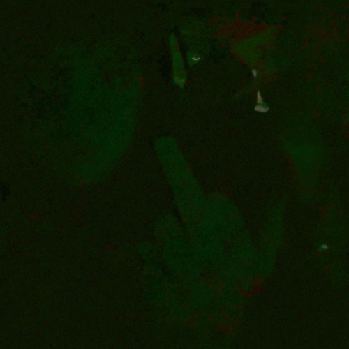 show sum [cuttheway]