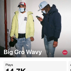 BIG GRO WAVY - First Class