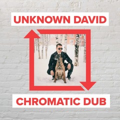 unknown david - Chromatic Dub