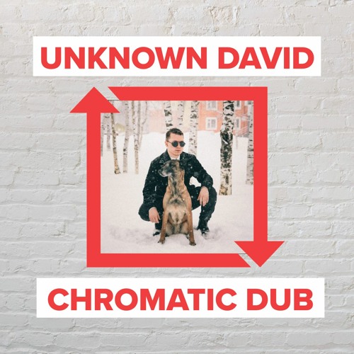 unknown david - Chromatic Dub