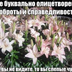 постулаты какашкиной