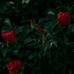 Sonebank & Elizaveta - SOS (nug Bootleg)