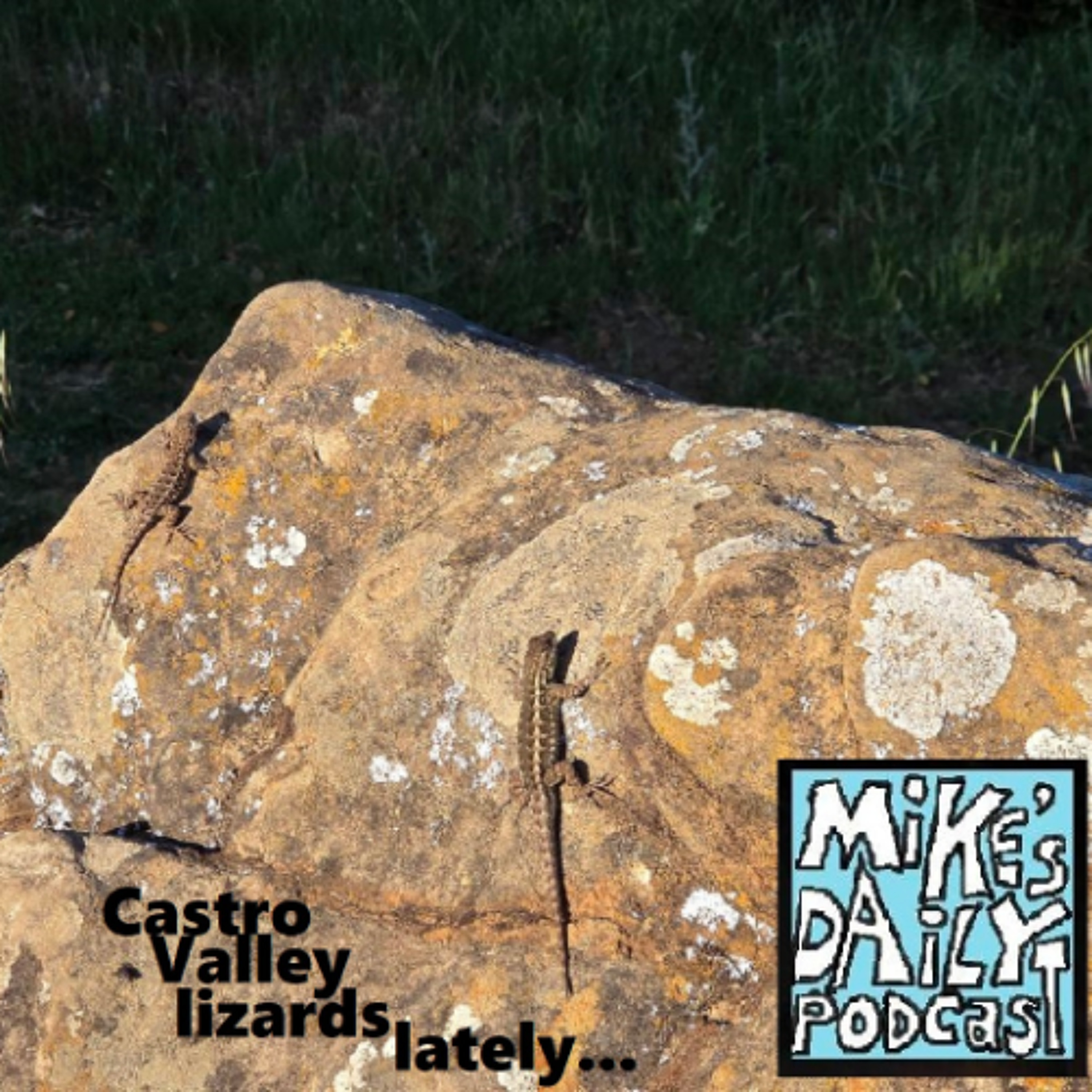 MikesDailyPodcast 3292 Watchstanders episode artwork