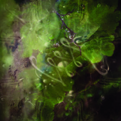 PREMIERE: Neurotrancer - Changeling [Aurora Records]