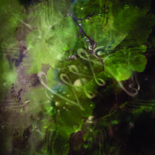 PREMIERE: Neurotrancer - Changeling [Aurora Records]