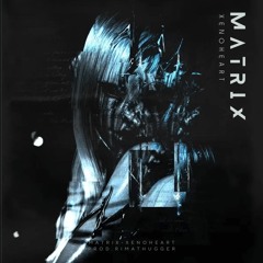 Matrix