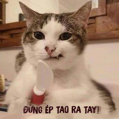 anh chối từ tất cả  chỉ mong em một lần thứ tha  Sai Cách Yêu  Lê Bảo Bình Ver Lofi  Slowed