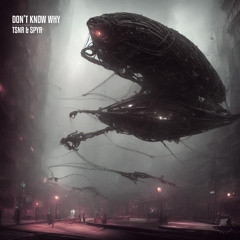 DONT KNOW WHY W/ TSNR [RAY COLLECT]