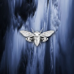 An:other Dream - Citzen