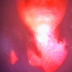 muzzle prod octo vvsmalibu