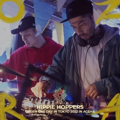 HIPPIE HOPPERS @ Water Stage, Ageha | OZORA One Day In Tokyo 2022