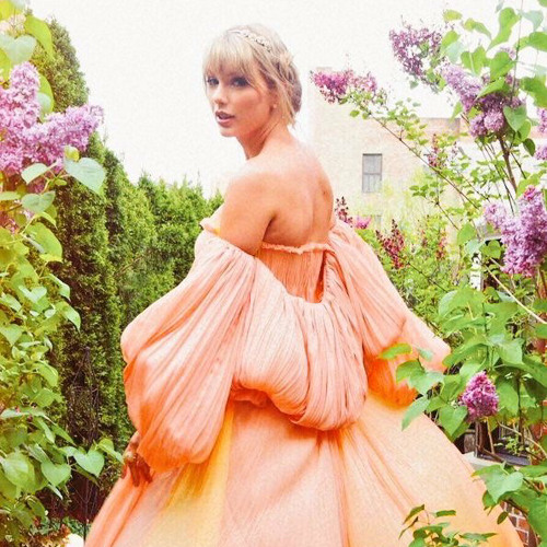 Taylor Swift, Bonnie Tyler - Holding Out For Miss Americana (Mashup)