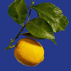 lemonade and strippers (Tay-K x Future)