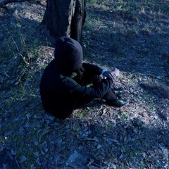 issue prod packlord dant3d3