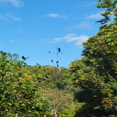 run they mouth (prod. me)