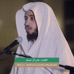 علي آل عسكر - فمتاع الحياة الدنيا