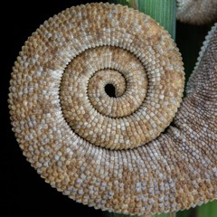 רק בשביל זה (שירים 1997-2007)