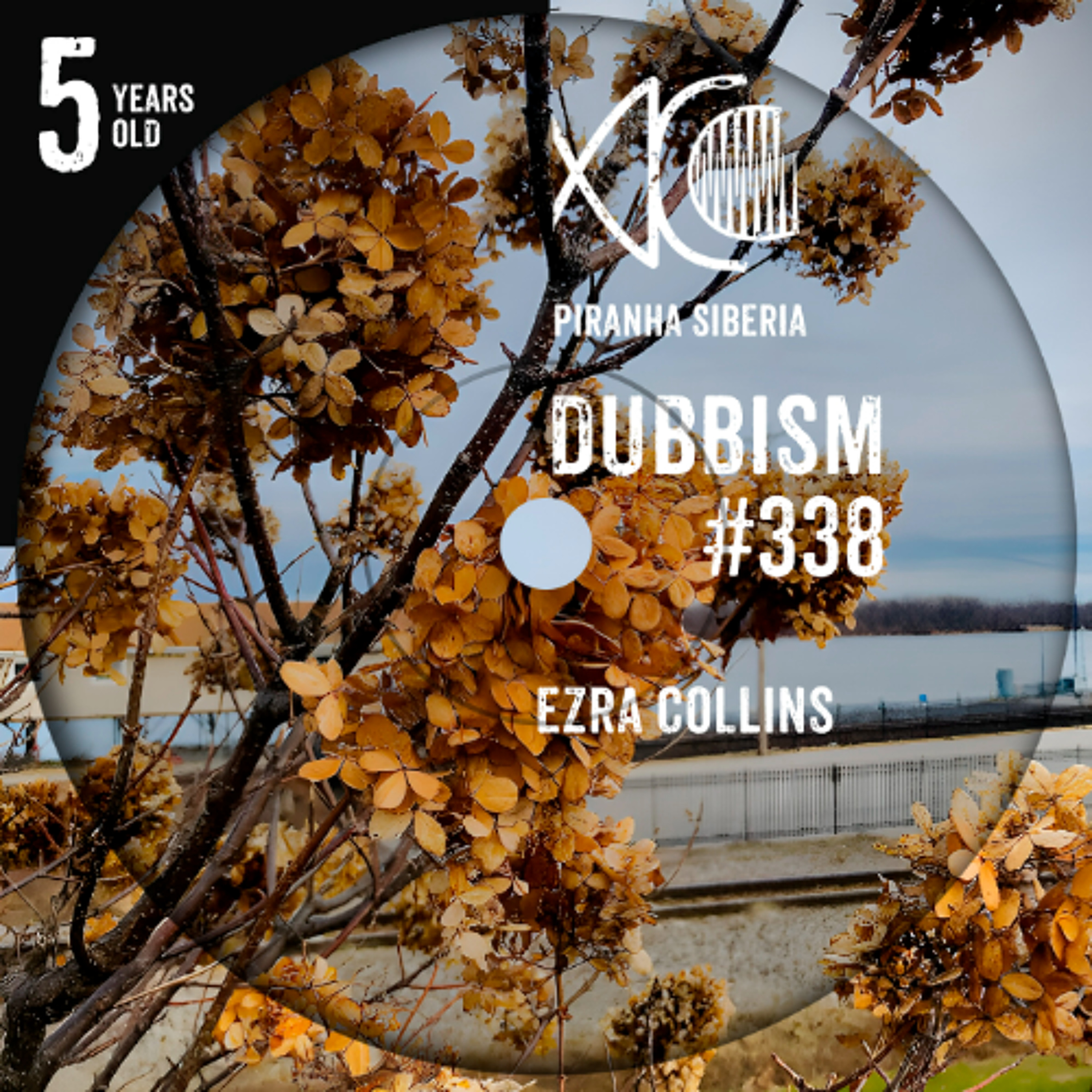 DUBBISM 5YO #338 - Ezra Collins