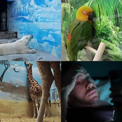 Zootopie