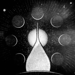 Fusion 2022 / Bachstelzen / Discodromo Panne Eichel