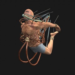 cup 2 tall (prod glidesharkk)