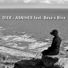 Besa x Bina - ASNIHER (DIER REMIX)