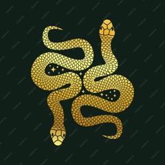 Snake_Dance2025(Original Track)