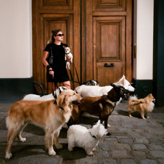 NRJ LOUANE - CHIENS (PN) // (PN2)