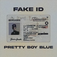 Fake ID (Acoustic Voice Memo)
