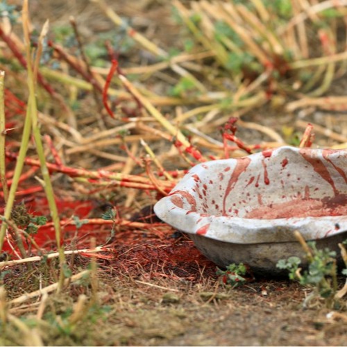 The Sacrificial Lamb? 