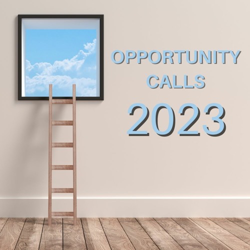 OPPORTUNITY CALLS #3