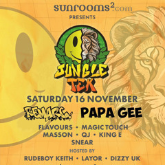FLAVOURS (JUNGLE TEK 16.11.24)