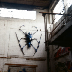Giant Spiders Dancing