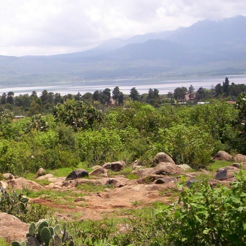 Quieto Silenzio Modulare(disquiet0616)